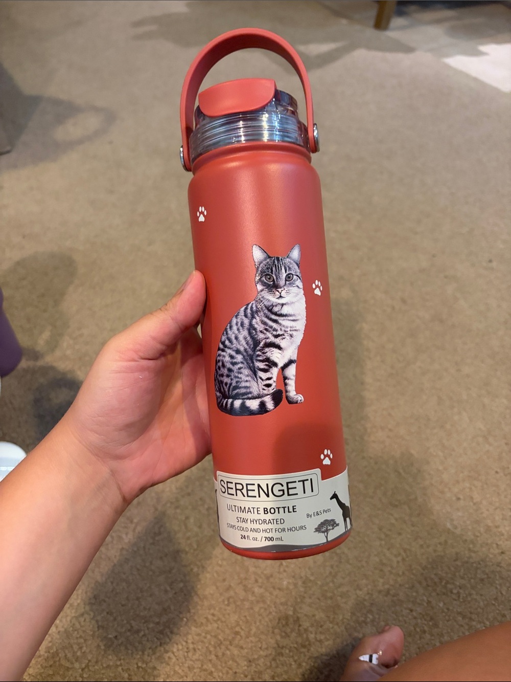 NWT 🐾 Serengeti Tabby Water Bottle with Paw Print
